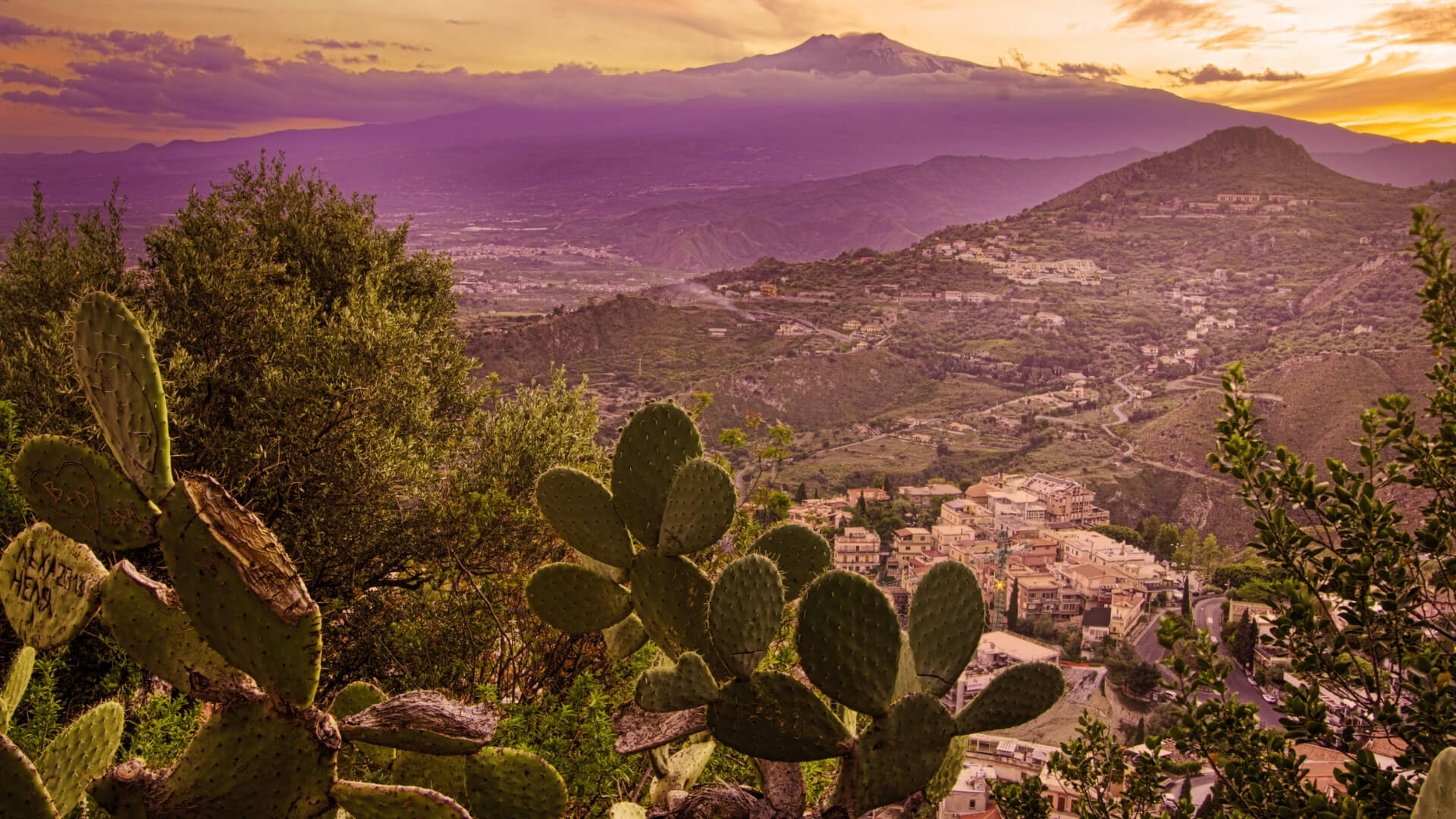 Pere dell’Etna, le varietà di pera siciliane