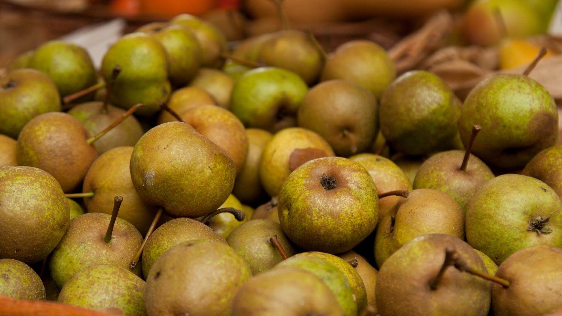 pera Volpina di Romagna