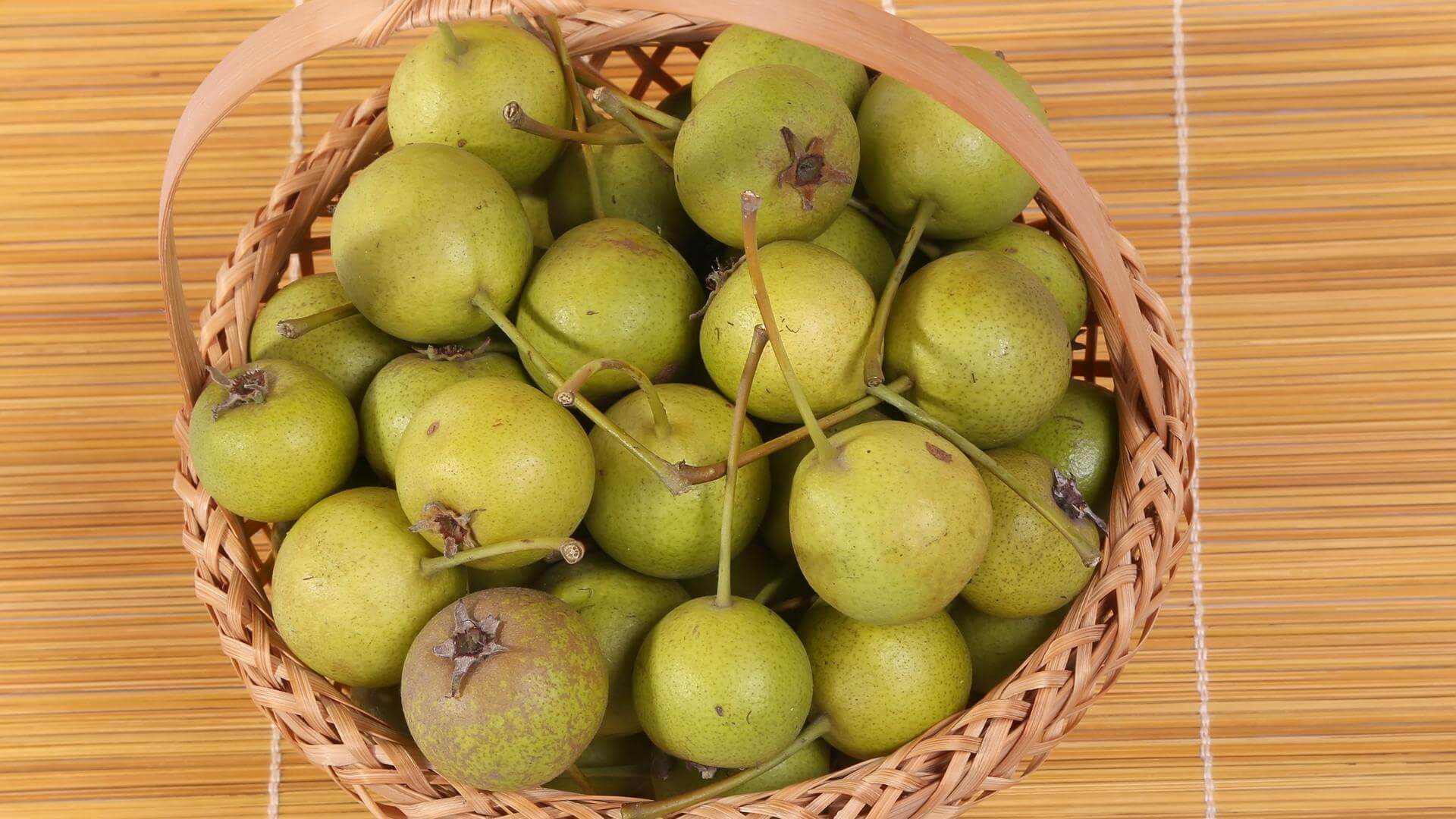 Pera Picciola, la pera toscana del Monte Amiata