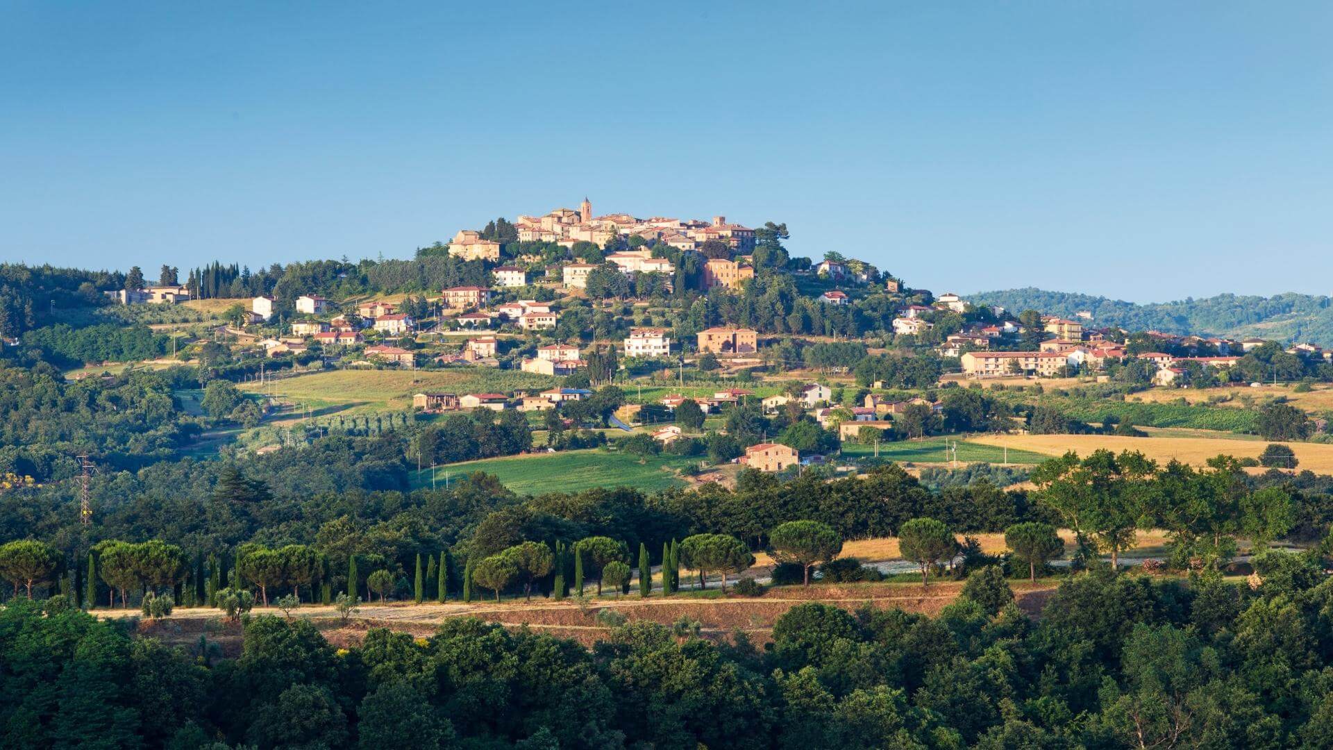 Pera di Monteleone, la “pera papera” originaria dell’Umbria