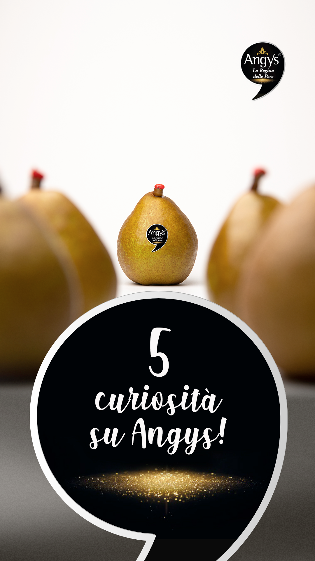 5 curiosità su Angys